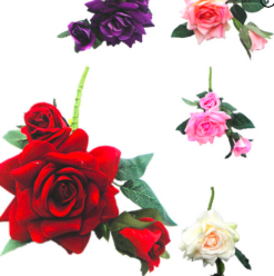 Vara de rosas