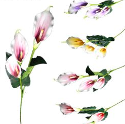 Vara de flor de cala