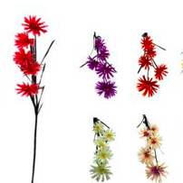 flor spider