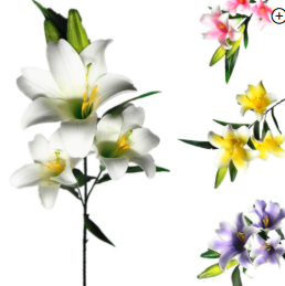 Vara de lilium