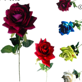 ROSAS