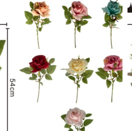 Rosas 