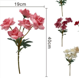 Rosas
