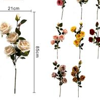 Rosas