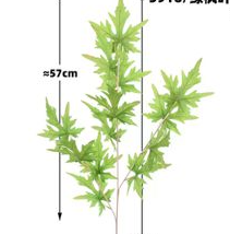 Hoja de arce