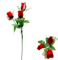 Rosas