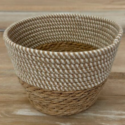 CESTA 